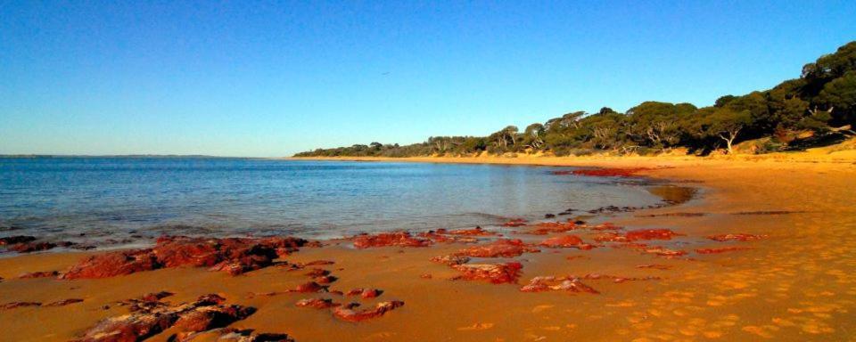 The Grampian Phillip Island Villa Cowes Eksteriør billede